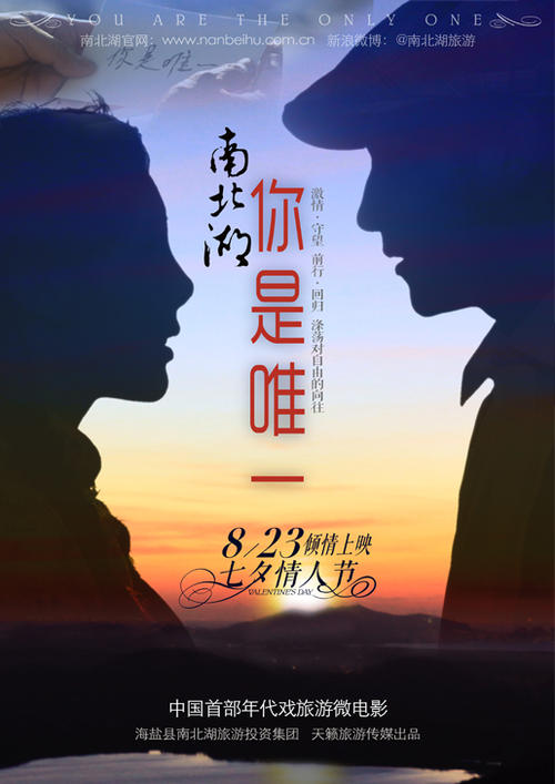 做假南佛蒙特学院文凭